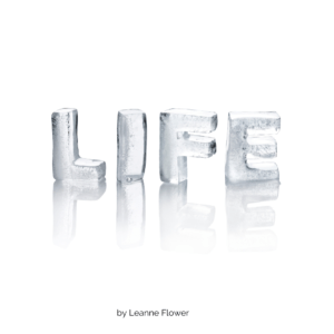 Poem about Life by Leanne Flower