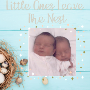 Little Ones Leave The Nest - poem by Leanne Flower